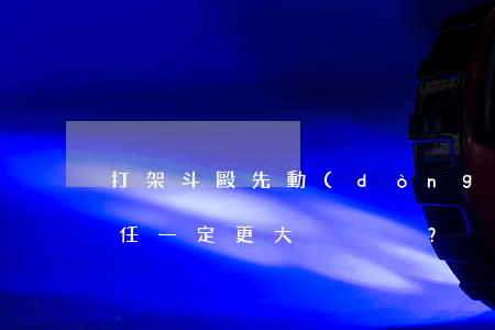 打架斗毆，先動(dòng)手的責(zé)任一定更大？